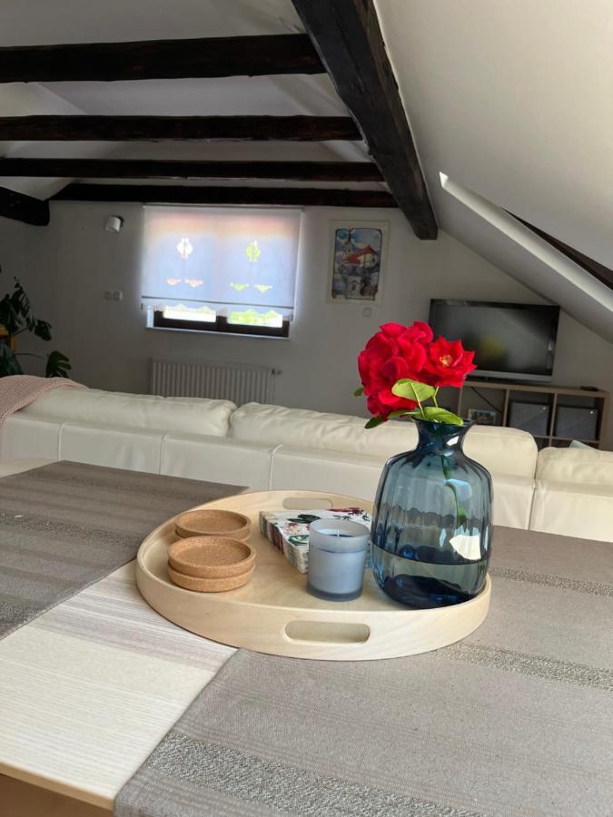 Riverside Villa Avo - Apartment Sara Spodnja Idrija Buitenkant foto