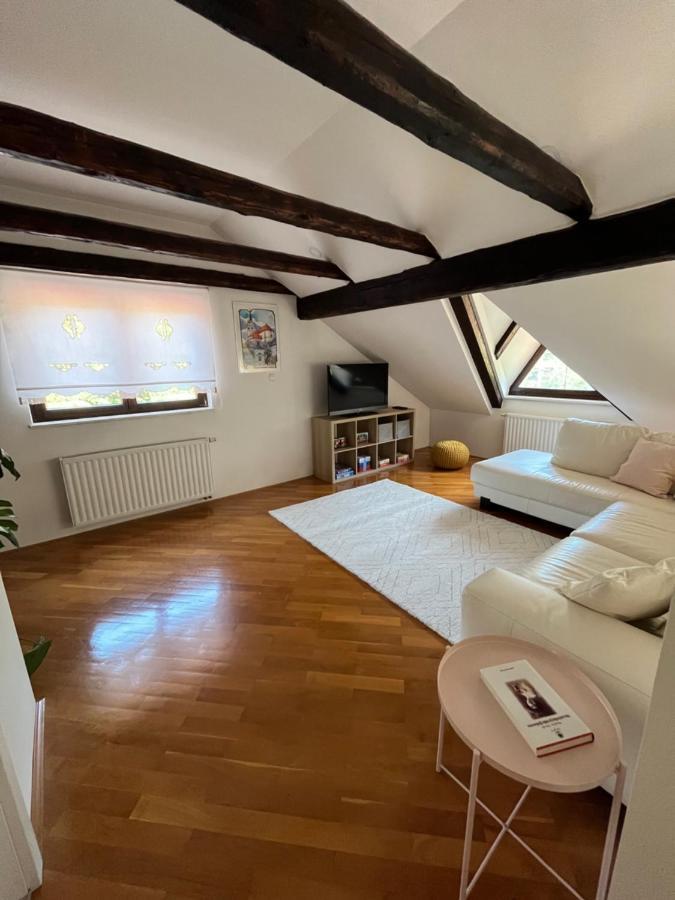 Riverside Villa Avo - Apartment Sara Spodnja Idrija Buitenkant foto