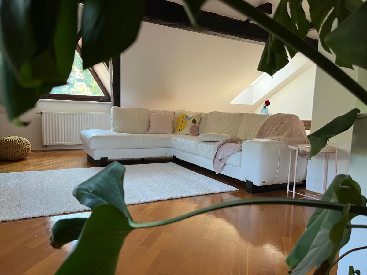 Riverside Villa Avo - Apartment Sara Spodnja Idrija Buitenkant foto