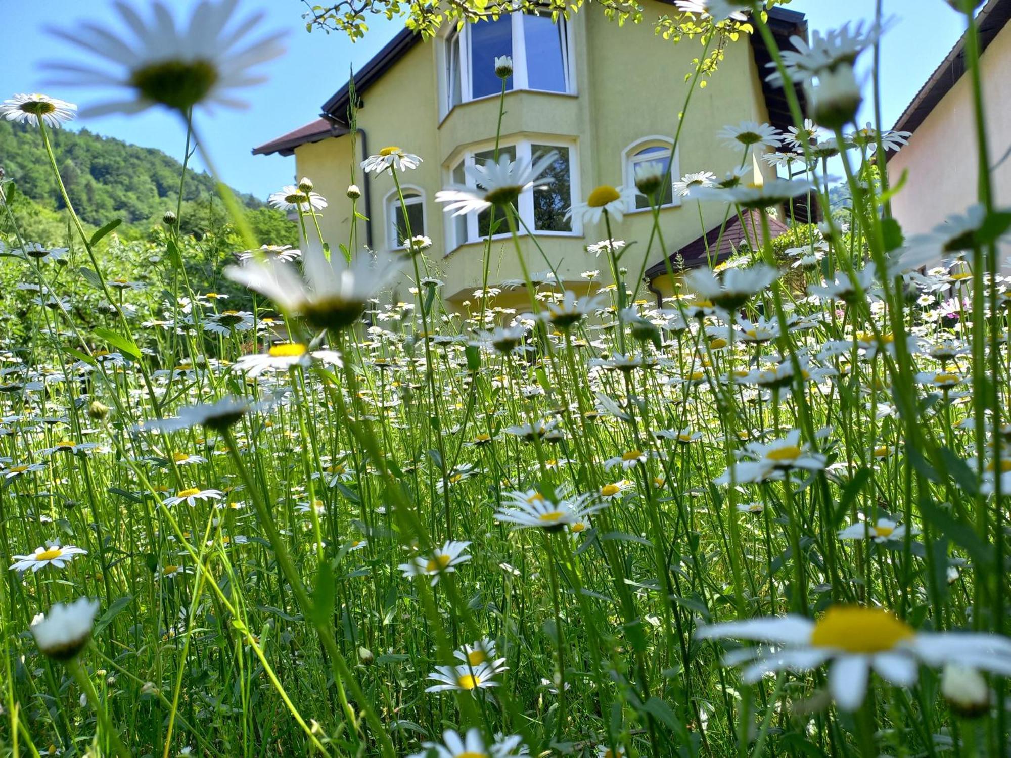Riverside Villa Avo - Apartment Sara Spodnja Idrija Kamer foto